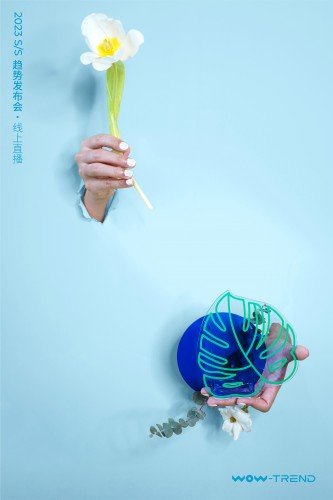 我们的森林 FOREST OF US · 线上发布会活动现场